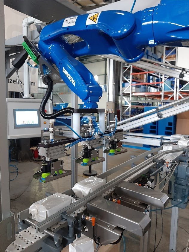 Industrial robot working over a production line